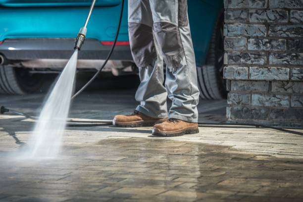 Best Patio and Deck Pressure Washing  in Lo, HI